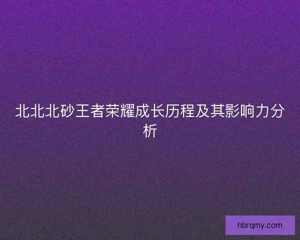 北北北砂王者荣耀成长历程及其影响力分析
