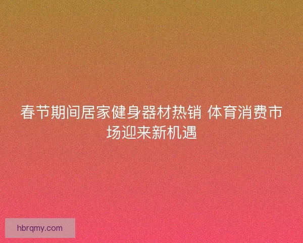春节期间居家健身器材热销 体育消费市场迎来新机遇